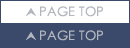 PAGE TOP